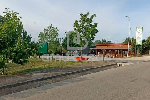 Helårsgrund i Agueda, Aveiro, Agueda - € 55.000 | Ref: PP28032025 - foto 10