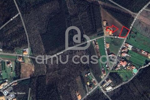 Helårsgrund i Agueda, Aveiro, Agueda - € 55.000 | Ref: PP28032025 - foto 11