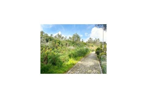 Terra a Belas, Lisbon, Belas - € 2.900.000 | Ref: 25-IV-0140 - foto 6