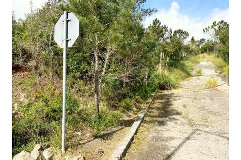 Terra a Belas, Lisbon, Belas - € 2.900.000 | Ref: 25-IV-0140 - foto 10