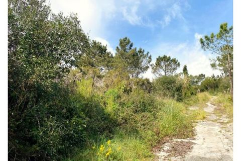 Terra a Belas, Lisbon, Belas - € 2.900.000 | Ref: 25-IV-0140 - foto 11
