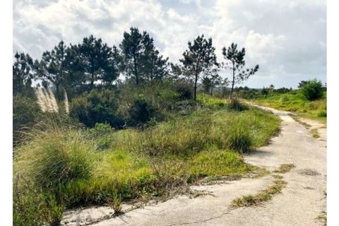 Terra a Belas, Lisbon, Belas - € 2.900.000 | Ref: 25-IV-0140 - foto 13