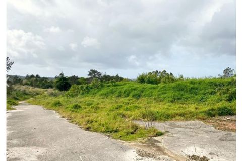 Terra a Belas, Lisbon, Belas - € 2.900.000 | Ref: 25-IV-0140 - foto 15