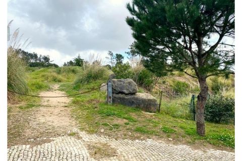 Terra a Belas, Lisbon, Belas - € 2.900.000 | Ref: 25-IV-0140 - foto 16