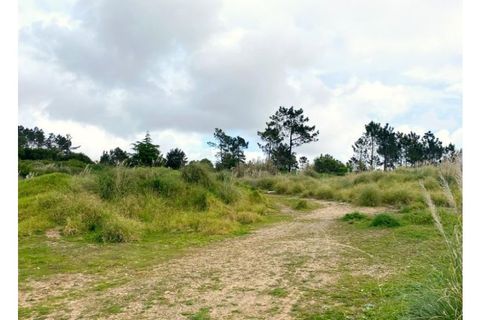 Terra a Belas, Lisbon, Belas - € 2.900.000 | Ref: 25-IV-0140 - foto 17