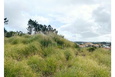 Terra a Belas, Lisbon, Belas - € 2.900.000 | Ref: 25-IV-0140 - foto 18