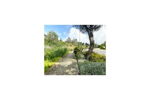 Terra a Belas, Lisbon, Belas - € 2.900.000 | Ref: 25-IV-0140 - foto 7