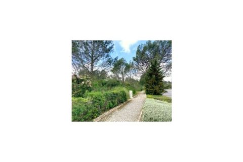Terra a Belas, Lisbon, Belas - € 2.900.000 | Ref: 25-IV-0140 - foto 8