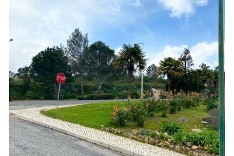 Terra a Belas, Lisbon, Belas - € 2.900.000 | Ref: 25-IV-0139 - foto 2