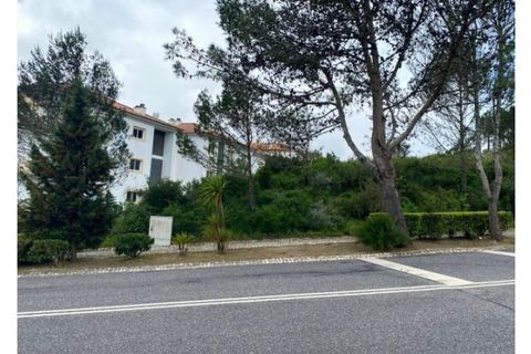 Terra a Belas, Lisbon, Belas - € 2.900.000 | Ref: 25-IV-0139 - foto 3