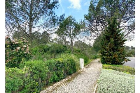 Terra a Belas, Lisbon, Belas - € 2.900.000 | Ref: 25-IV-0139 - foto 4