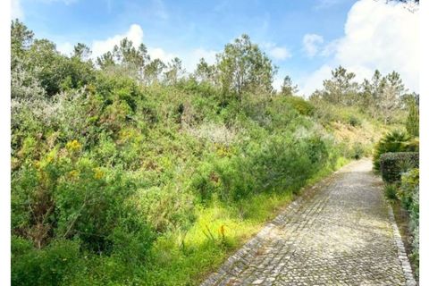Terra a Belas, Lisbon, Belas - € 2.900.000 | Ref: 25-IV-0139 - foto 5