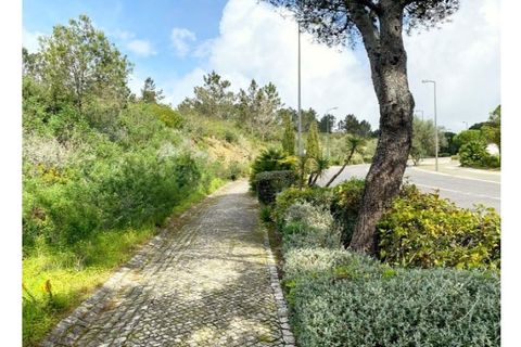 Terra a Belas, Lisbon, Belas - € 2.900.000 | Ref: 25-IV-0139 - foto 6