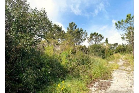 Terra a Belas, Lisbon, Belas - € 2.900.000 | Ref: 25-IV-0139 - foto 7