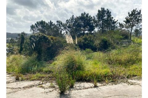 Terra a Belas, Lisbon, Belas - € 2.900.000 | Ref: 25-IV-0139 - foto 9