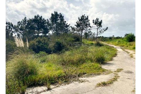Terra a Belas, Lisbon, Belas - € 2.900.000 | Ref: 25-IV-0139 - foto 10