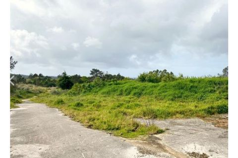 Terra a Belas, Lisbon, Belas - € 2.900.000 | Ref: 25-IV-0139 - foto 11