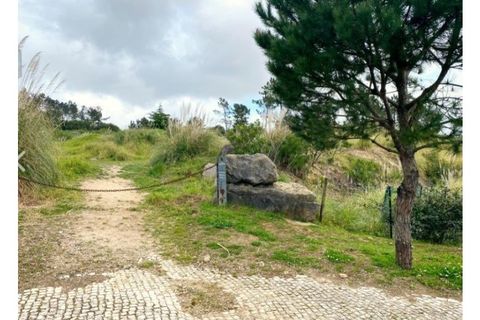 Terra a Belas, Lisbon, Belas - € 2.900.000 | Ref: 25-IV-0139 - foto 12
