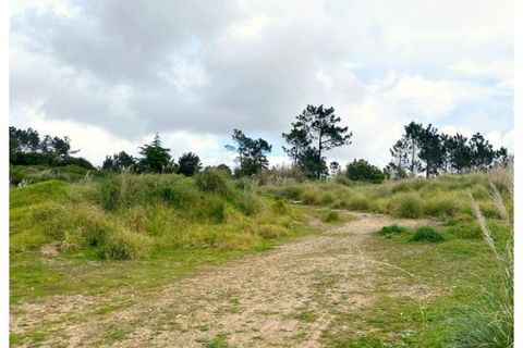Terra a Belas, Lisbon, Belas - € 2.900.000 | Ref: 25-IV-0139 - foto 13