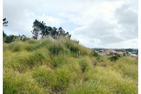 Terra a Belas, Lisbon, Belas - € 2.900.000 | Ref: 25-IV-0139 - foto 14