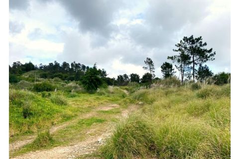 Terra a Belas, Lisbon, Belas - € 2.900.000 | Ref: 25-IV-0139 - foto 15