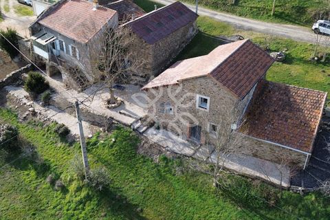 Villa i Blesle, Haute-Loire, Blesle - € 255.000 | Ref: V60000178 - foto 2