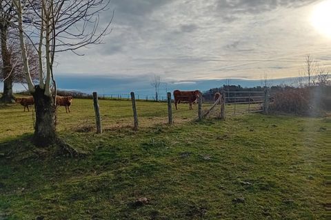 Villa a Aurillac, Cantal, Aurillac - € 172.800 | Ref: 371 - foto 4
