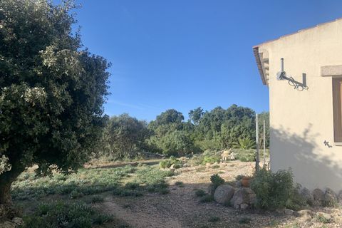 Villa a Telti, Olbia Tempio, Telti - € 440.000 | Ref: 584 - foto 24