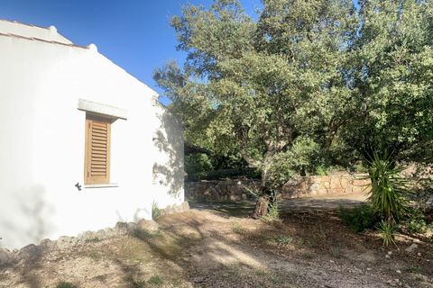 Villa a Telti, Olbia Tempio, Telti - € 440.000 | Ref: 584 - foto 26