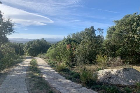 Villa a Telti, Olbia Tempio, Telti - € 440.000 | Ref: 584 - foto 37