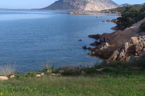 Villa i San Teodoro, Sassari, San Teodoro - € 3.000.000 | Ref: 590 - foto 31