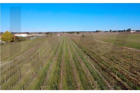 Helårsgrund i Palmela, Setubal, Palmela - € 125.000 | Ref: 1204-3795 - foto 3