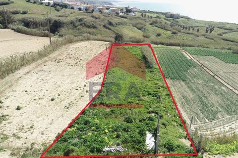 Terra a Mafra, Lisbon, Mafra - € 800.000 | Ref: 130250062 - foto 2