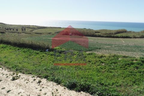 Terra a Mafra, Lisbon, Mafra - € 800.000 | Ref: 130250062 - foto 11