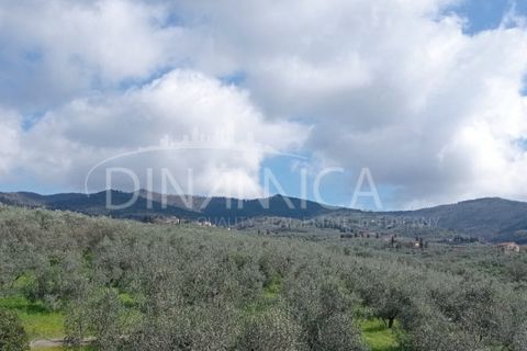 Landejendom i Vinci, Florence, Vinci - € 795.000 | Ref: 1003-254C - foto 4