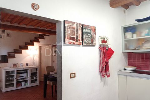 Landejendom i Vinci, Florence, Vinci - € 795.000 | Ref: 1003-254C - foto 11