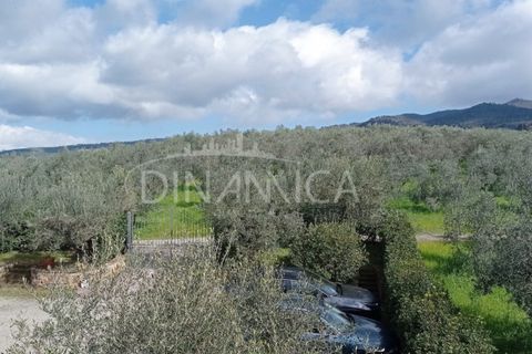 Landejendom i Vinci, Florence, Vinci - € 795.000 | Ref: 1003-254C - foto 20