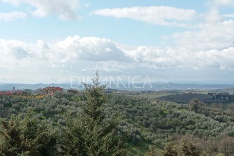 Landejendom i Vinci, Florence, Vinci - € 795.000 | Ref: 1003-254C - foto 26