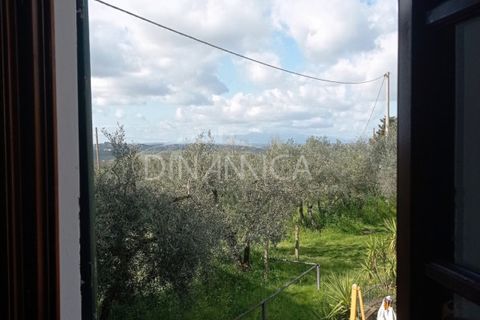 Landejendom i Vinci, Florence, Vinci - € 795.000 | Ref: 1003-254C - foto 42