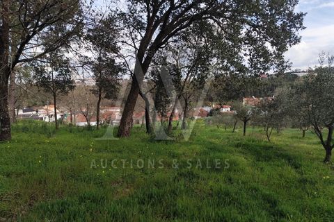 Helårsgrund i Parceiros e Azoia, Leiria, Parceiros e Azoia - € 150.000 | Ref: LRA_2196 - foto 1