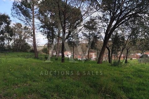 Helårsgrund i Parceiros e Azoia, Leiria, Parceiros e Azoia - € 150.000 | Ref: LRA_2196 - foto 2