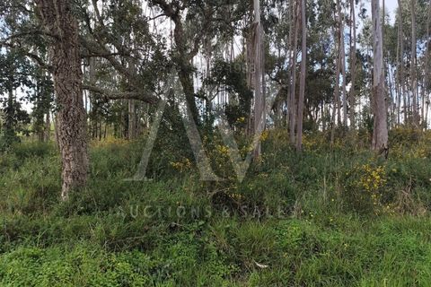 Helårsgrund i Parceiros e Azoia, Leiria, Parceiros e Azoia - € 150.000 | Ref: LRA_2196 - foto 3