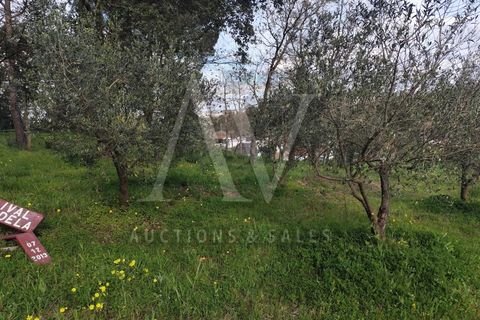 Helårsgrund i Parceiros e Azoia, Leiria, Parceiros e Azoia - € 150.000 | Ref: LRA_2196 - foto 4