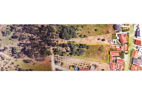 Helårsgrund i Parceiros e Azoia, Leiria, Parceiros e Azoia - € 150.000 | Ref: LRA_2196 - foto 5