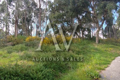 Helårsgrund i Parceiros e Azoia, Leiria, Parceiros e Azoia - € 385.000 | Ref: LRA_2197 - foto 3