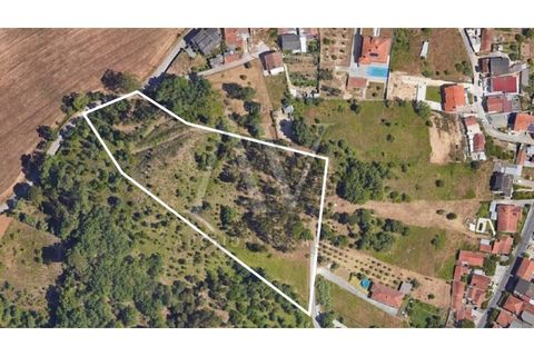 Helårsgrund i Parceiros e Azoia, Leiria, Parceiros e Azoia - € 385.000 | Ref: LRA_2197 - foto 2