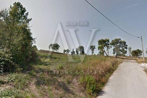 Helårsgrund i Parceiros e Azoia, Leiria, Parceiros e Azoia - € 385.000 | Ref: LRA_2197 - foto 7
