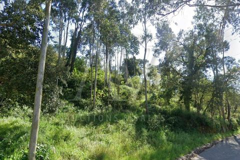 Helårsgrund i Parceiros e Azoia, Leiria, Parceiros e Azoia - € 385.000 | Ref: LRA_2197 - foto 8