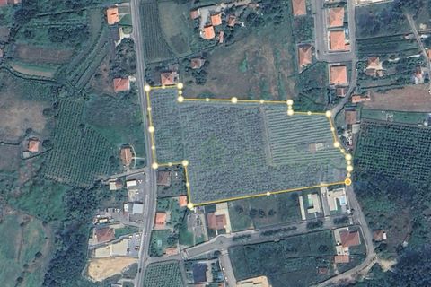 Helårsgrund i Moncao, Viana do Castelo, Moncao - € 800.000 | Ref: MNC1612T - foto 1