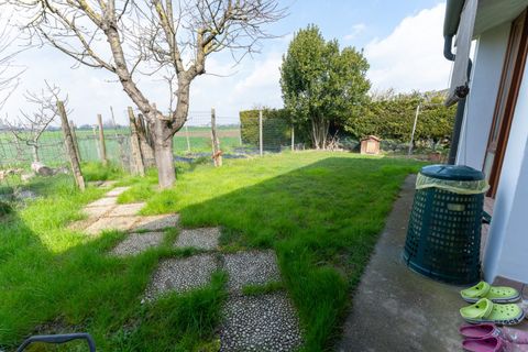 Villa i Codevigo, Padua, Codevigo - € 247.000 | Ref: CDVB04 - foto 6